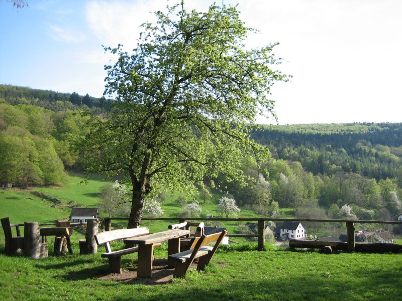 Burgruine Wildenstein